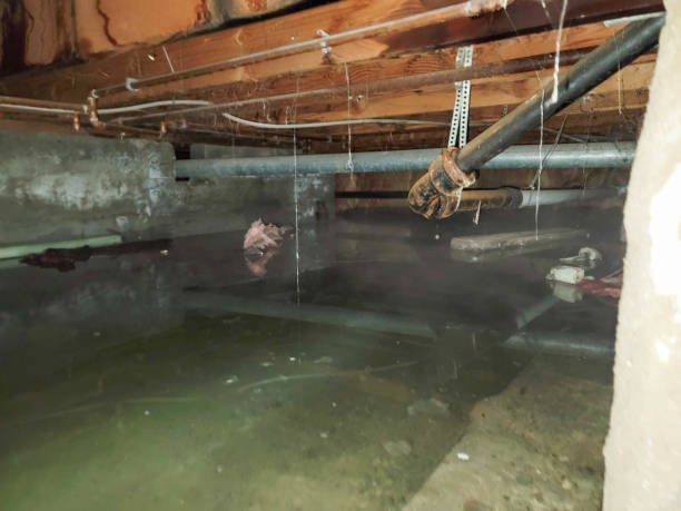  Modesto, CA Water damage restoration Pros