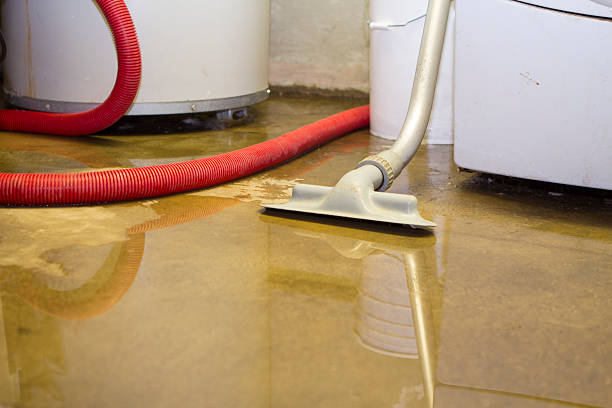 Best 24-hour water damage restoration  in Modesto, CA